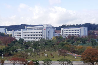 한국과학기술원 결과1